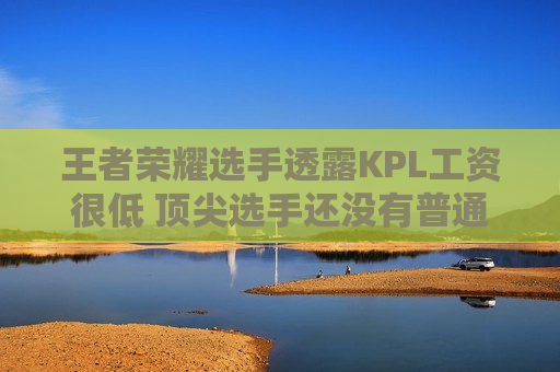 王者荣耀选手透露KPL工资很低 顶尖选手还没有普通LPL选手那么多